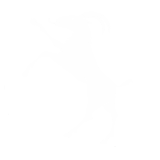 logo-7 Image